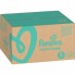 Подгузники Pampers Active Baby 5 BOX (11-16 кг) 150 шт.