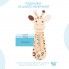 Термометр для воды ROXY-KIDS "Giraffe"